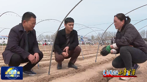 致富生姜种植技术视频_致富生姜种植视频_生姜种植致富