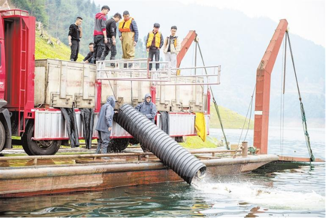 致富经农业养殖视频_致富经养殖业_养殖业致富之路