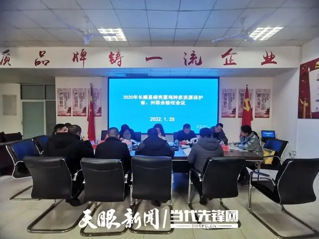 2020年绿壳蛋鸡养殖前景_养殖绿壳蛋鸡前景如何_绿壳蛋鸡养殖技术视频