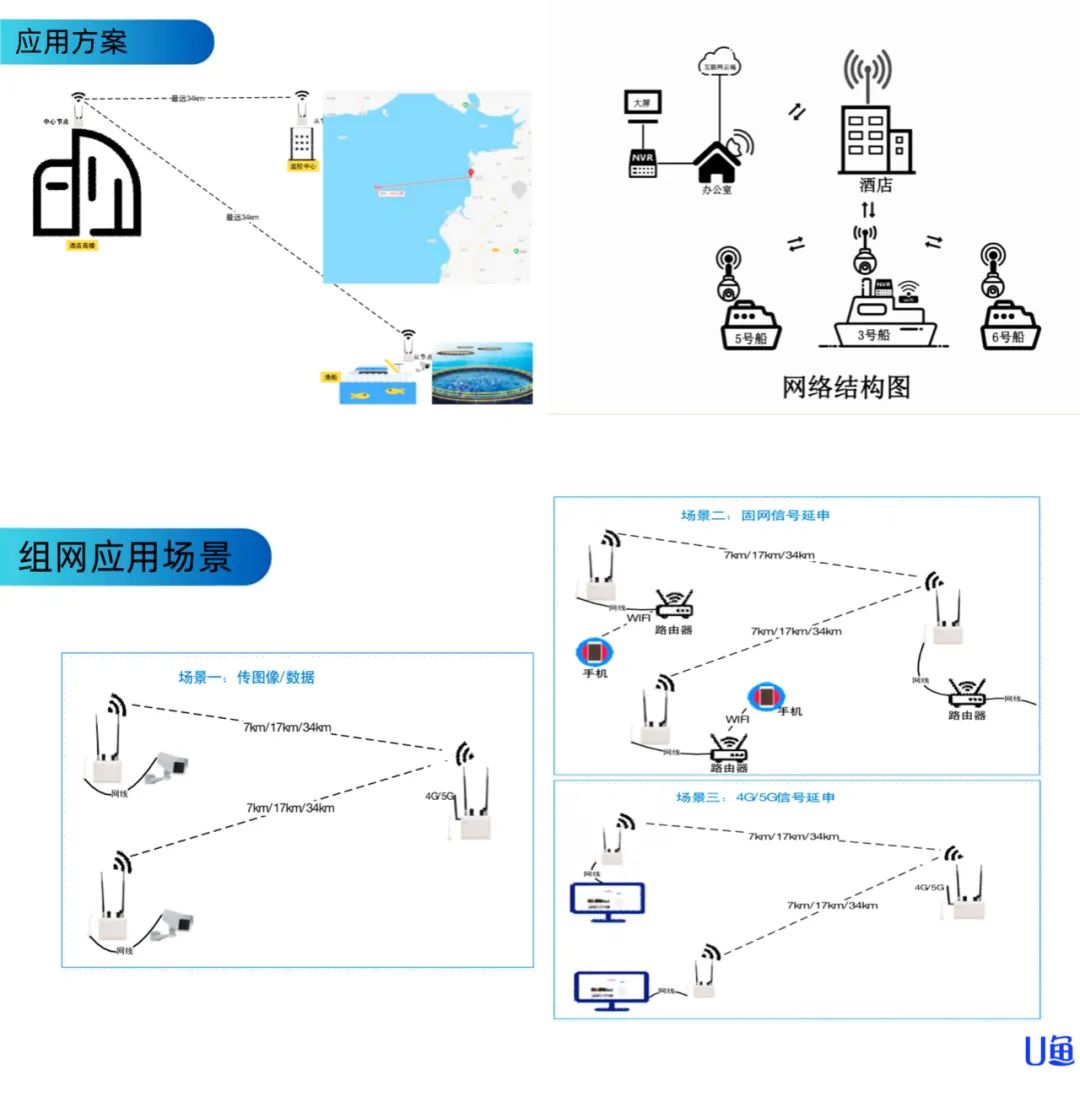 镜鲤网箱养殖技术_网箱养殖锦鲤_网箱鲤鱼和养殖塘鲤鱼