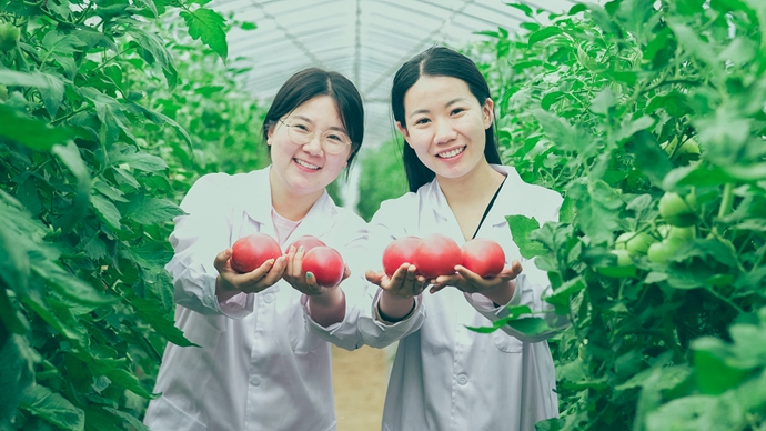 致富种植河南项目介绍_河南种植致富项目_致富种植河南项目有哪些