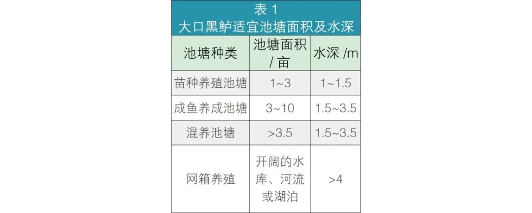 哪里有青蚯蚓养殖技术_养殖大青蚯蚓_养殖青蚯蚓产量怎么样