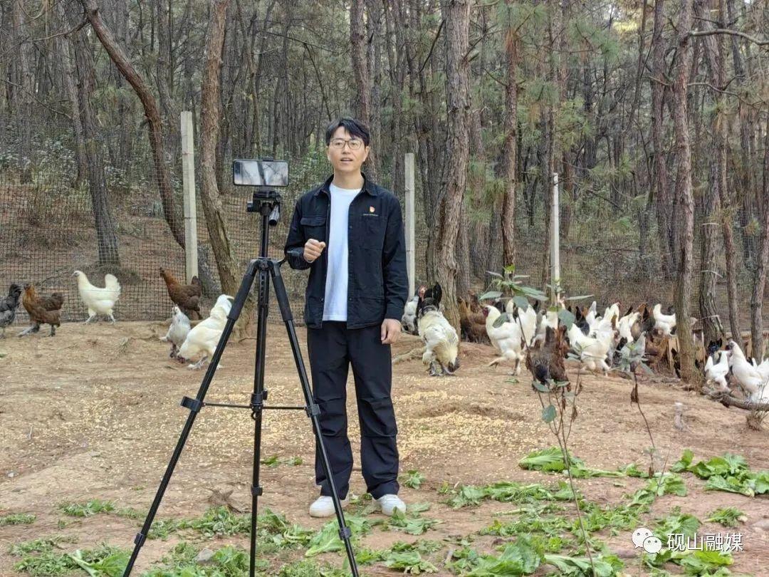 致富经养土鸡蛋视频_会飞的土鸡致富经视频_致富经土鸡养殖视频