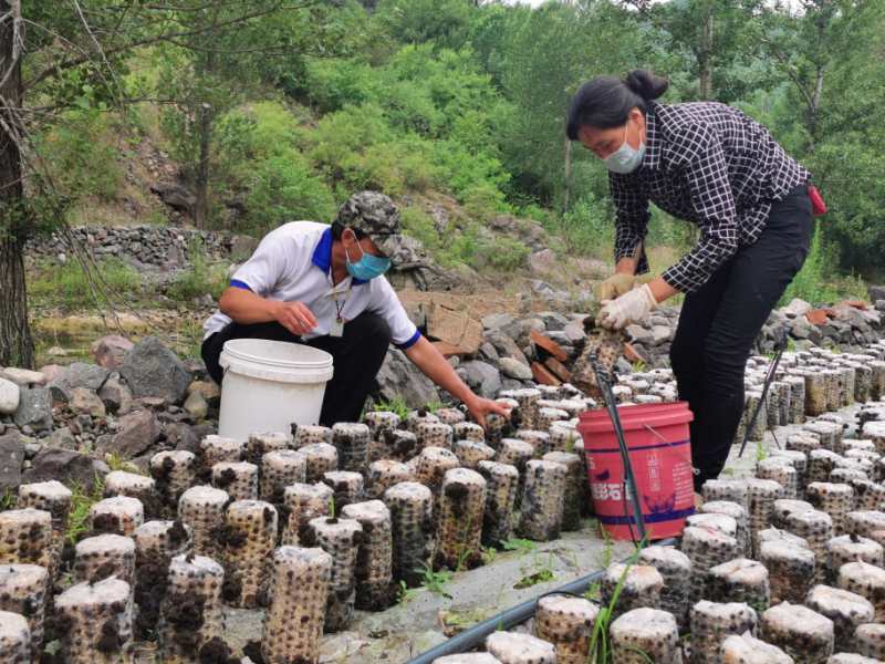 农民种粮种植致富_农民种地致富_致富种植农民种粮的意义