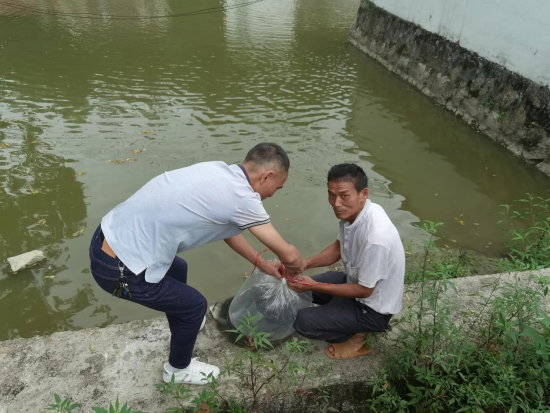 江西养殖致富案例_致富养殖江西案例视频_致富养殖业