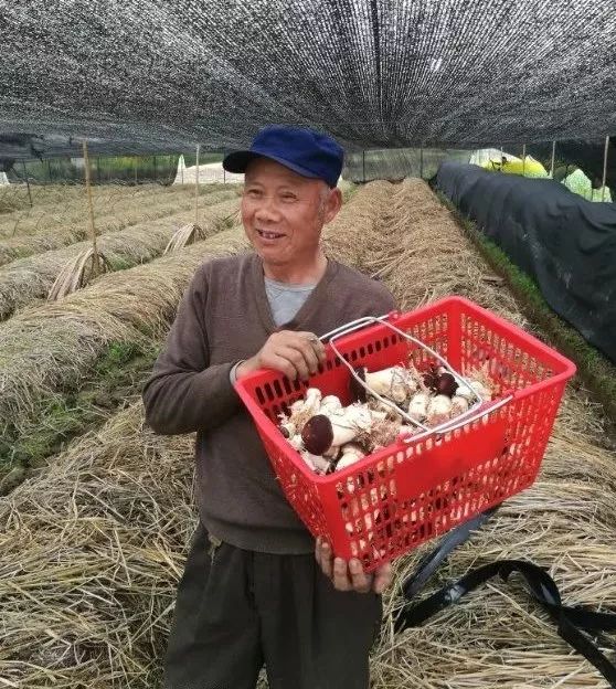 致富种植项目新闻稿_致富种植项目新闻报道_新致富项目 种植