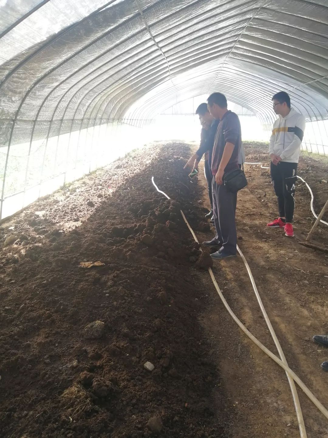 致富种植项目新闻报道_致富种植项目新闻稿_新致富项目 种植