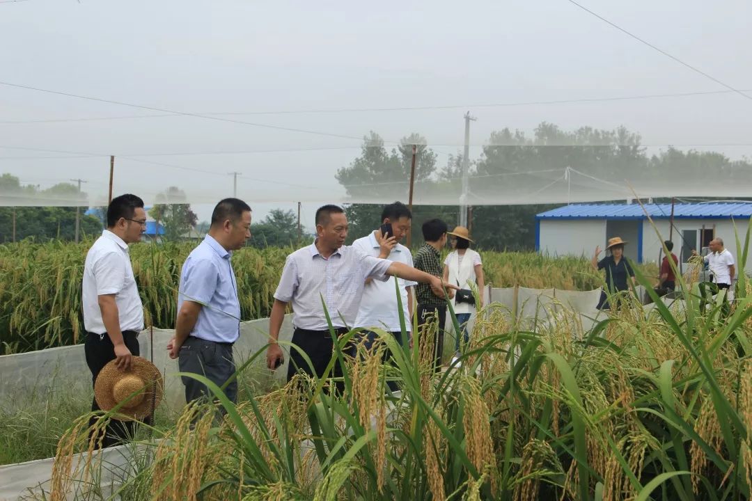 致富种植项目新闻报道_致富种植项目新闻稿_新致富项目 种植