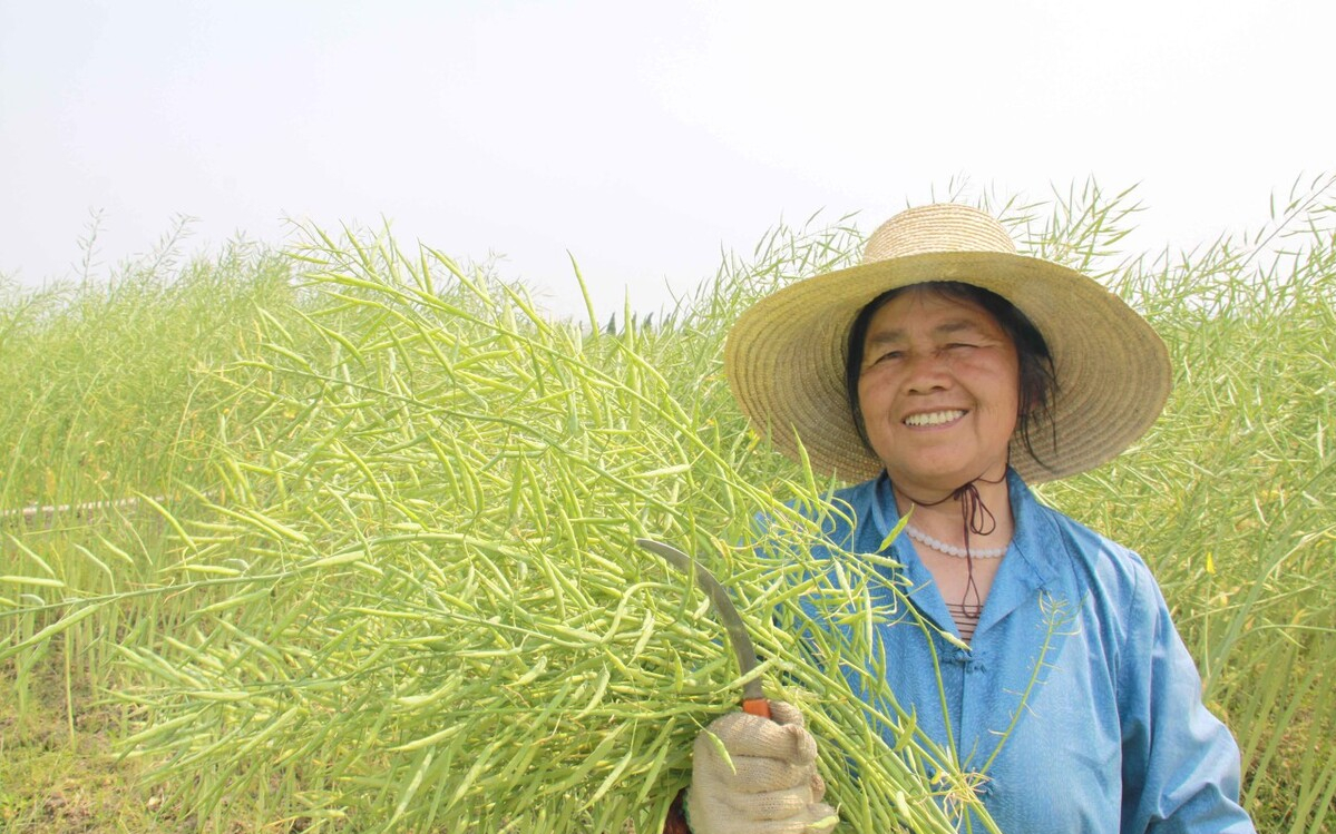 致富种植农民种粮的句子_致富种植农民种粮的意义_农民种粮种植致富