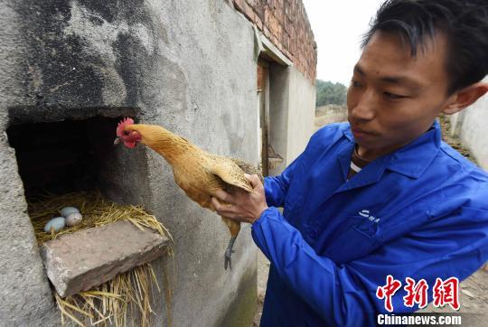 致富养殖江西案例视频_江西养殖致富案例_致富养殖信息