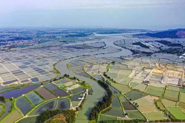 鳗鱼养殖致富经_养殖鳗鱼赚钱吗_致富养殖鳗鱼图片