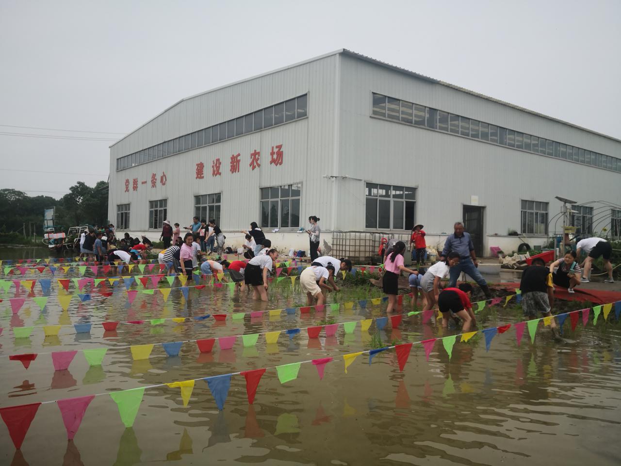 农民种粮种植致富_农民致富种植项目_致富种植农民种粮的意义