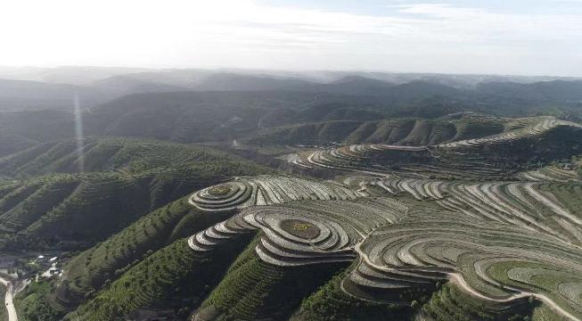 小草里有“大经济”：宁夏固原荒原变绿山 走上生态致富路