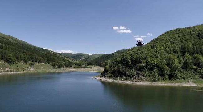 致富经宁夏张山虎养牛视频_宁夏养牛第一县_永宁县张山虎养牛公司