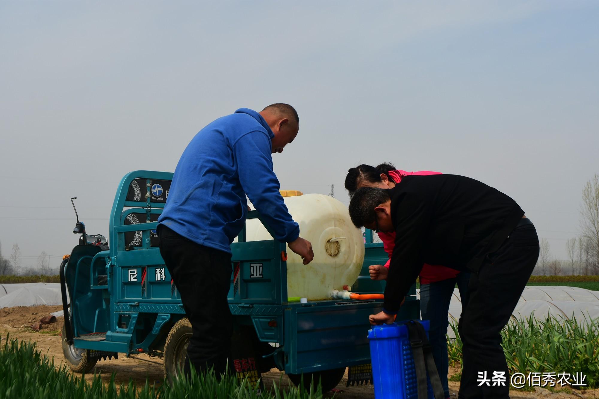 致富种植农民种粮的句子_农民种粮种植致富_农民致富种植项目