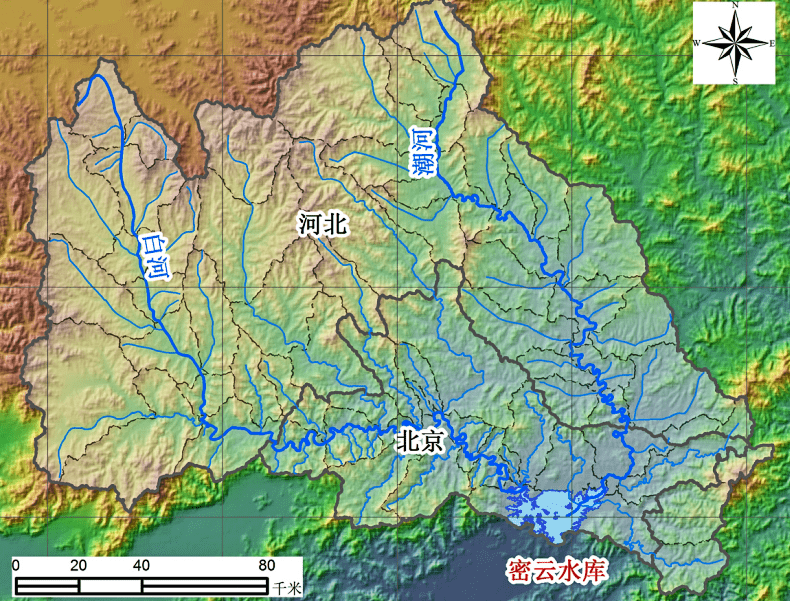 养鲢鳙赚钱吗_鲢鳙鱼养殖比例_鲢鱼鳙鱼养殖技术