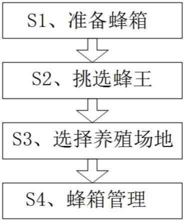 一种高产量的中华蜜蜂养殖方法与流程