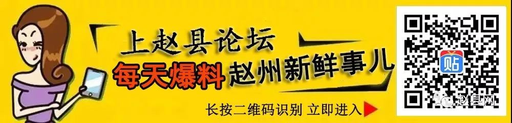 生姜种植致富案例_致富经生姜种植技术视频_致富生姜案例种植视频