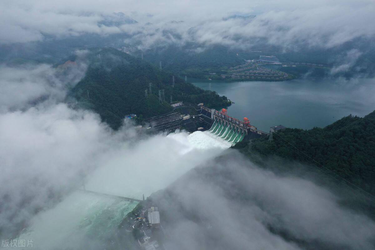 新安江建库60多年，鲢鳙变成“净水鱼”，千岛湖“鱼王”有多大？