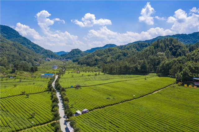 致富种植农民益阳有补贴吗_农民种地致富_益阳农民种植致富