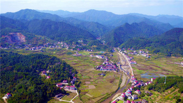 致富种植农民益阳有补贴吗_农民种地致富_益阳农民种植致富