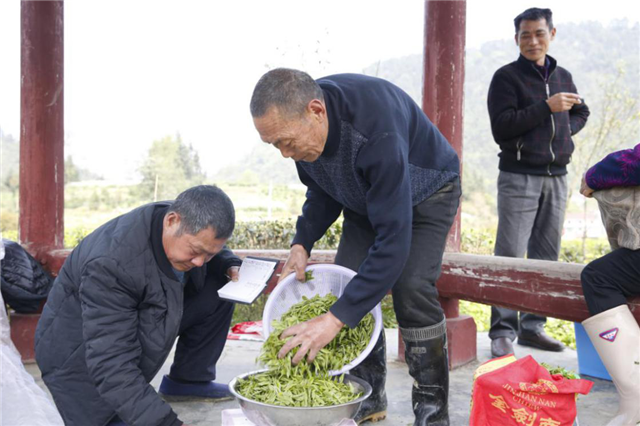 益阳农民种植致富_农民种地致富_致富种植农民益阳有补贴吗