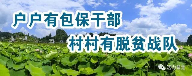 韭黄种植技术及效益_韭黄种植技术视频教程_韭黄种植最新技术