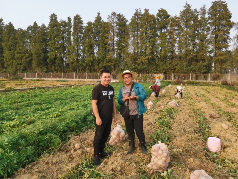 农村种植致富_致富种植农民益阳有补贴吗_益阳农民种植致富