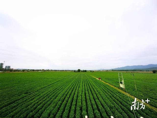 打造广东最大的现代化有机蔬菜生产基地，韶关始兴为什么能？