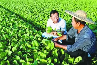 致富种植过亿收入怎么算_致富经种植亩收入过亿_种植业致富