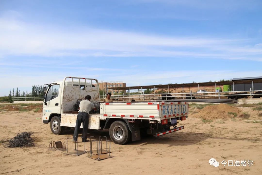 致富养殖母牛行业现状_养殖繁育母牛致富案例_母牛养殖致富行业