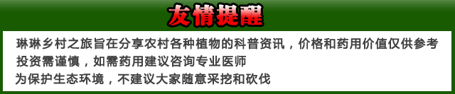 致富经种植亩收入过亿_种植致富案例_种植致富新项目