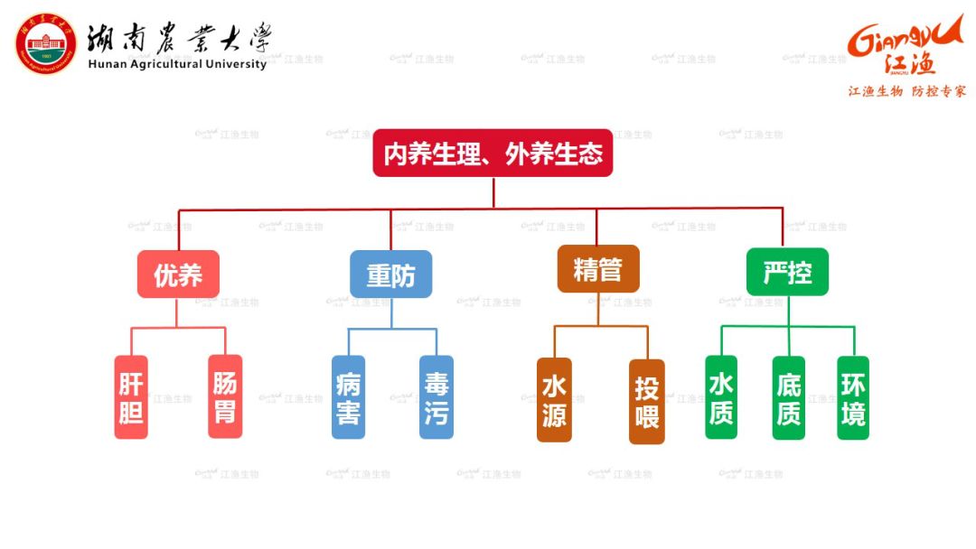 致富经青蛙养殖杜照林_致富经青蛙养殖杜照林_致富经青蛙养殖杜照林