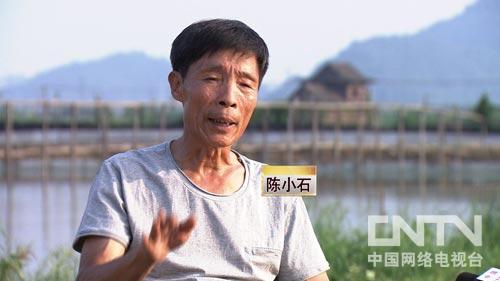 花甲老人养甲鱼年赚千万财富