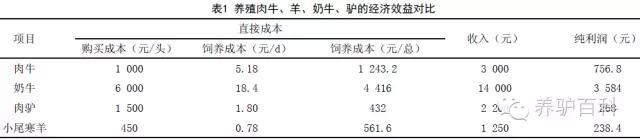 我国养驴业现状及趋势分析