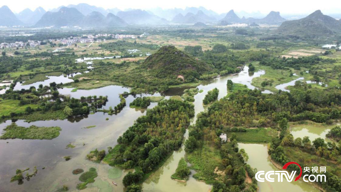 会仙湿地 何善权 摄