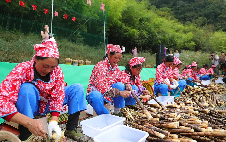 骆驼价值_致富经 骆驼_养骆驼赚钱