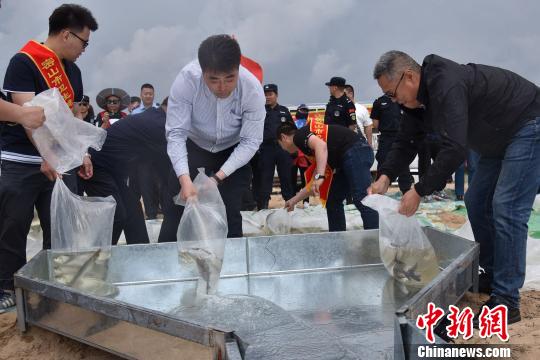 黑龙江将大力发展“放牧式”生态增养殖 孙云阁 摄