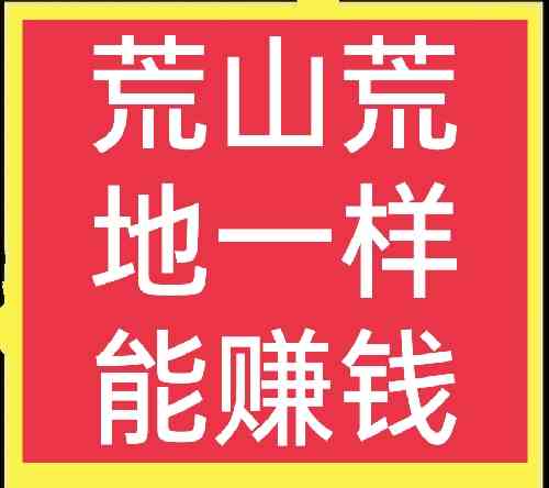 农村赚钱的路子（农村的荒山、荒地如何利用）