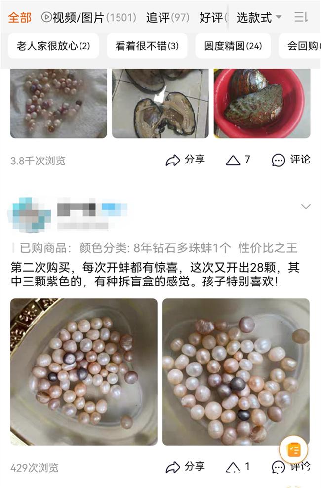 蚌壳养殖技术视频_视频养殖蚌壳技术有哪些_视频养殖蚌壳技术教程