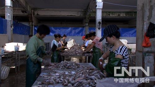 客厅挂荷花九鱼图好吗_致富经挂起来的鱼_黑坑里的鱼浮起来怎么钓