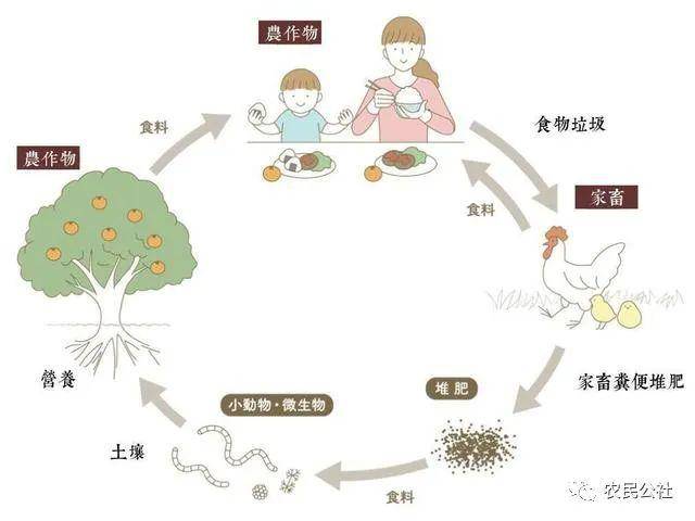 农药种植致富吗_致富农药种植方法_农村种植药材致富项目