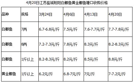 主产区江苏淡水鱼价格维持上涨势头 草鱼鲫鱼表现依然抢眼