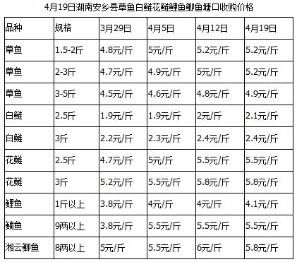 致富经黄颡鱼_黄颡致富经_致富黄颡鱼落户小山村