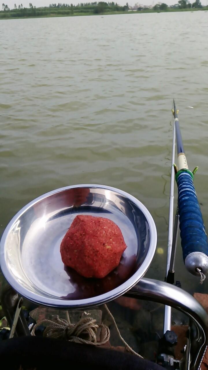 冬天鲶鱼的活动规律_鲶鱼冬天养殖技术_冬季鲶鱼用什么饵