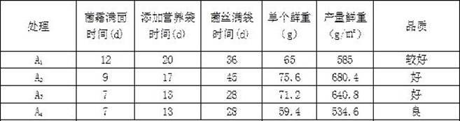 一种六妹羊肚菌种植方法与流程