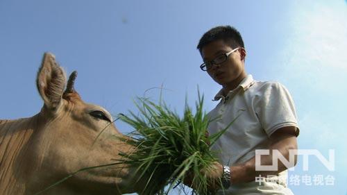 [致富经]一个90后大学生的黄牛梦(20130827)