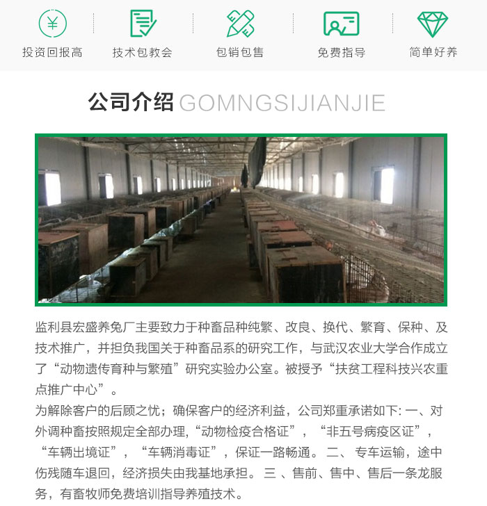 散养家兔养殖技术视频_散养兔养殖场地视频_家中散养兔子养殖视频