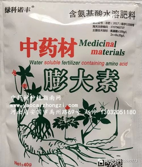 北方五味子种植技术_东北五味子的种植技术_东北种植五味子技术要点