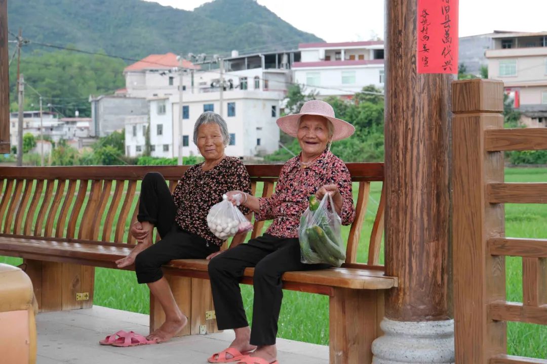 青山种植专业合作社_青山致富种植果园地址_青山种植致富果